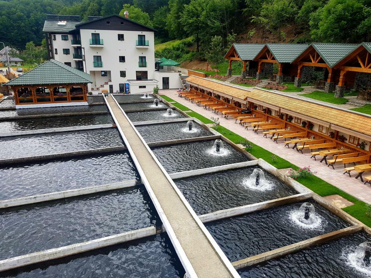 Lostrita - Pastravrie, Hotel & SPA Baia Mare Exterior foto